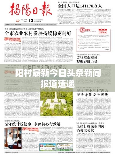 陽村最新今日頭條新聞報道速遞