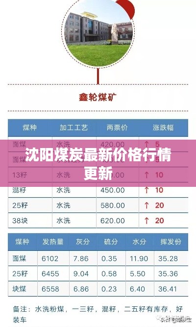 沈陽煤炭最新價格行情更新