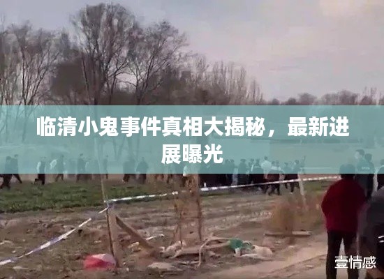 臨清小鬼事件真相大揭秘，最新進展曝光