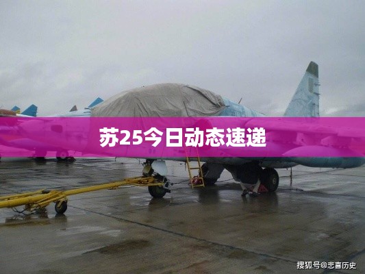 蘇25今日動態(tài)速遞