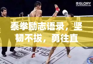 泰拳勵(lì)志語(yǔ)錄，堅(jiān)韌不拔，勇往直前！