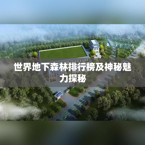 世界地下森林排行榜及神秘魅力探秘