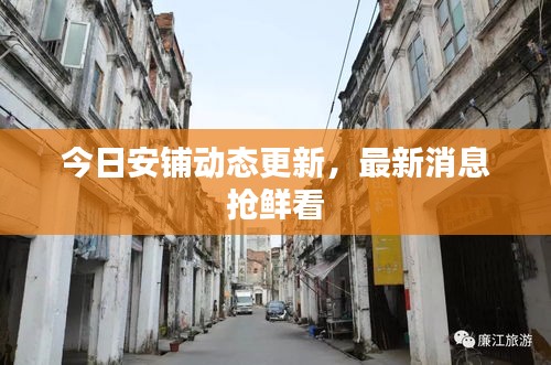今日安鋪動態(tài)更新，最新消息搶鮮看