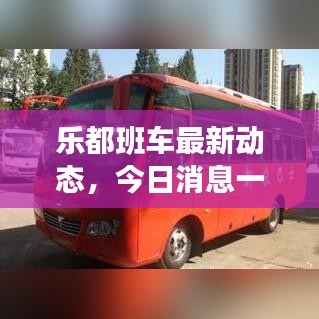 樂都班車最新動(dòng)態(tài)，今日消息一網(wǎng)打盡！