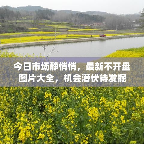 今日市場靜悄悄，最新不開盤圖片大全，機會潛伏待發(fā)掘