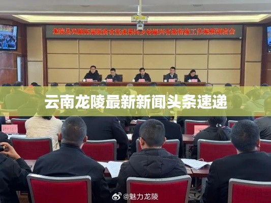 云南龍陵最新新聞?lì)^條速遞