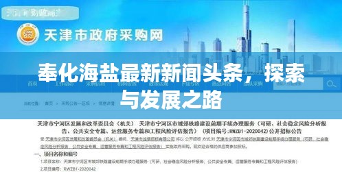 奉化海鹽最新新聞?lì)^條，探索與發(fā)展之路