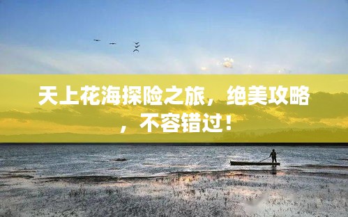 天上花海探險之旅，絕美攻略，不容錯過！
