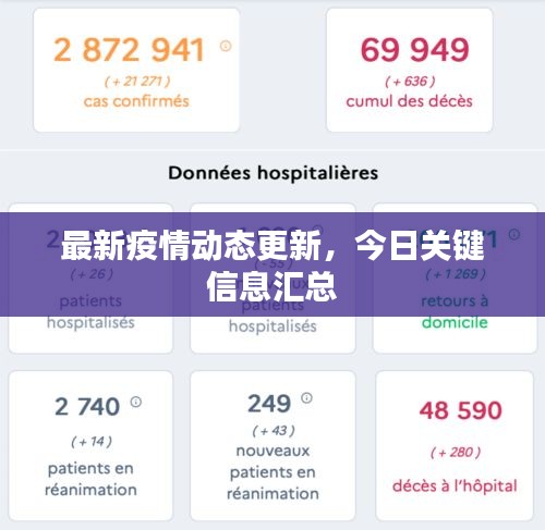 最新疫情動(dòng)態(tài)更新，今日關(guān)鍵信息匯總