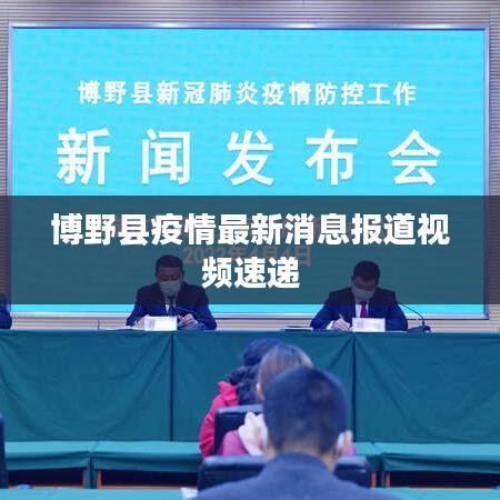 博野縣疫情最新消息報(bào)道視頻速遞
