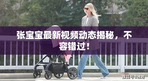 張寶寶最新視頻動(dòng)態(tài)揭秘，不容錯(cuò)過！