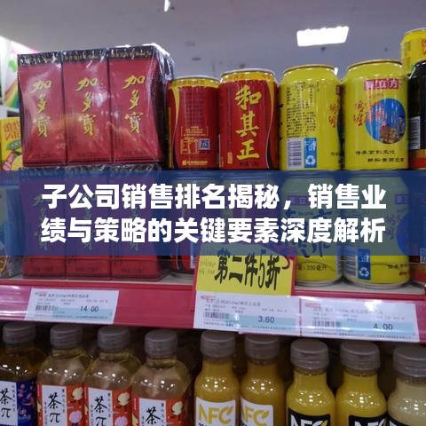 子公司銷(xiāo)售排名揭秘，銷(xiāo)售業(yè)績(jī)與策略的關(guān)鍵要素深度解析
