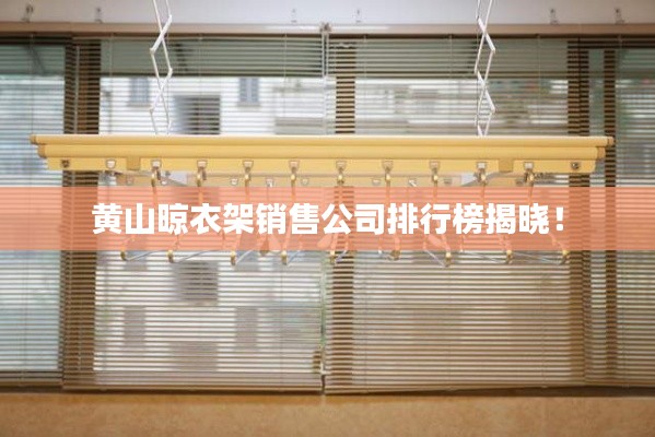 黃山晾衣架銷售公司排行榜揭曉！