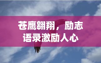 蒼鷹翱翔，勵志語錄激勵人心