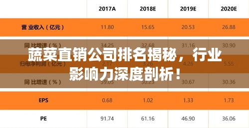 蔬菜直銷(xiāo)公司排名揭秘，行業(yè)影響力深度剖析！