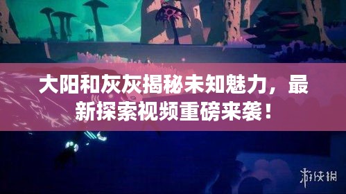 大陽(yáng)和灰灰揭秘未知魅力，最新探索視頻重磅來襲！