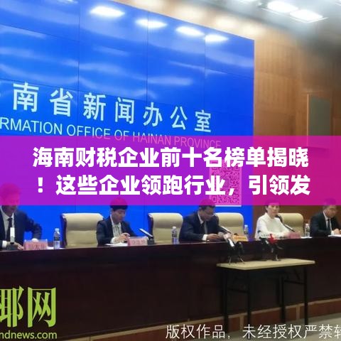 海南財稅企業(yè)前十名榜單揭曉！這些企業(yè)領跑行業(yè)，引領發(fā)展潮流