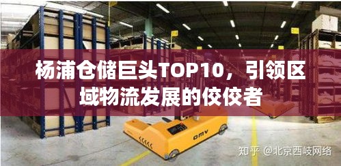 楊浦倉儲巨頭TOP10，引領(lǐng)區(qū)域物流發(fā)展的佼佼者