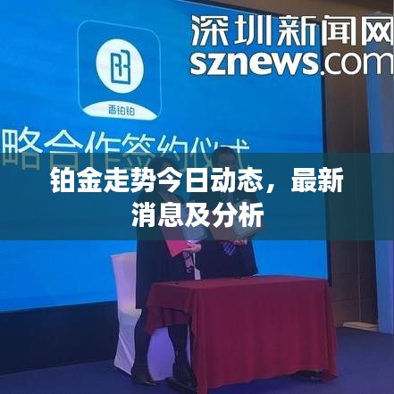 鉑金走勢今日動態(tài)，最新消息及分析