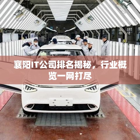 襄陽IT公司排名揭秘，行業(yè)概覽一網(wǎng)打盡