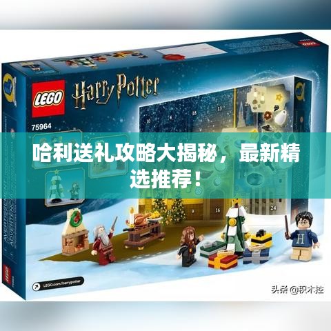 哈利送禮攻略大揭秘，最新精選推薦！