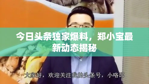 今日頭條獨家爆料，鄭小寶最新動態(tài)揭秘