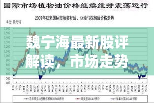 魏寧海最新股評解讀，市場走勢深度分析，未來展望揭秘