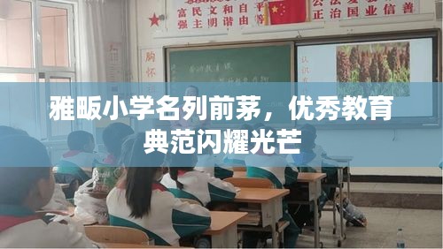 雅畈小學(xué)名列前茅，優(yōu)秀教育典范閃耀光芒