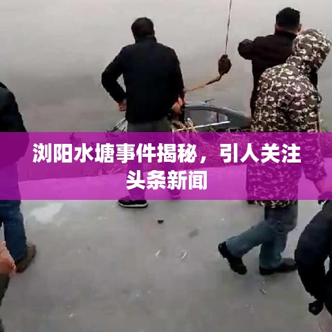瀏陽水塘事件揭秘，引人關注頭條新聞