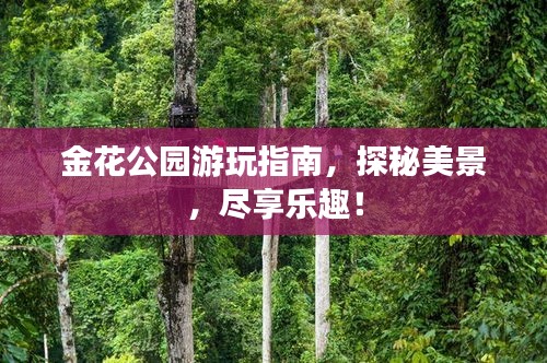金花公園游玩指南，探秘美景，盡享樂趣！