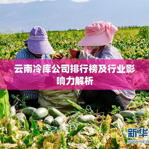 云南冷庫公司排行榜及行業(yè)影響力解析