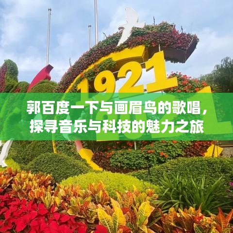 郭百度一下與畫眉鳥的歌唱，探尋音樂與科技的魅力之旅