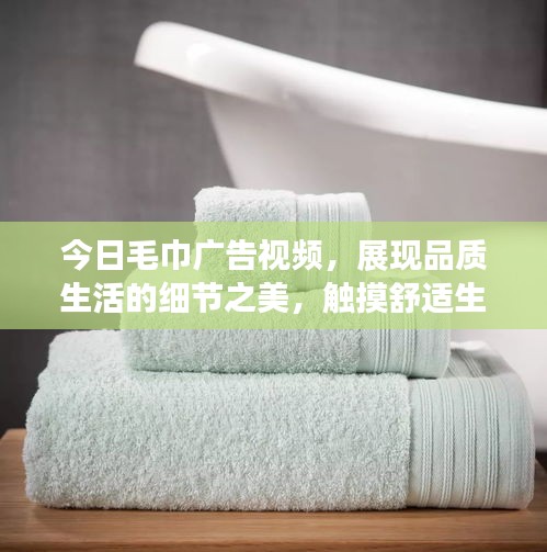 今日毛巾廣告視頻，展現(xiàn)品質(zhì)生活的細(xì)節(jié)之美，觸摸舒適生活