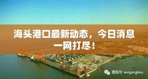 海頭港口最新動(dòng)態(tài)，今日消息一網(wǎng)打盡！