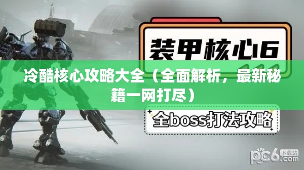 冷酷核心攻略大全（全面解析，最新秘籍一網(wǎng)打盡）