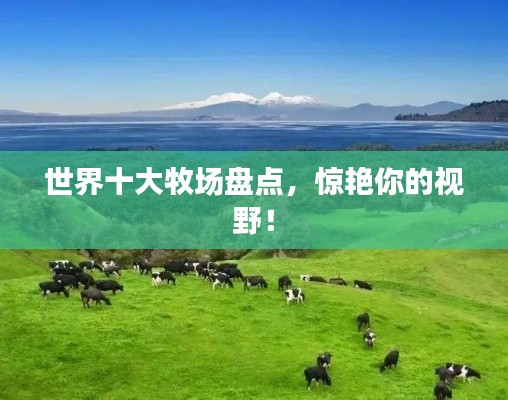世界十大牧場盤點，驚艷你的視野！