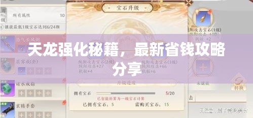 天龍強(qiáng)化秘籍，最新省錢攻略分享