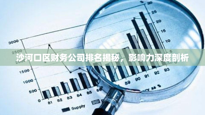 沙河口區(qū)財務(wù)公司排名揭秘，影響力深度剖析