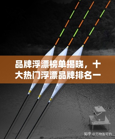 品牌浮漂榜單揭曉，十大熱門浮漂品牌排名一網(wǎng)打盡！