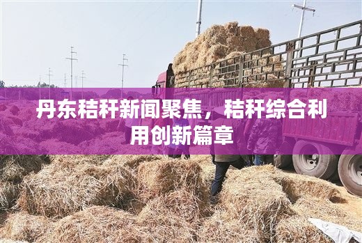 丹東秸稈新聞聚焦，秸稈綜合利用創(chuàng)新篇章