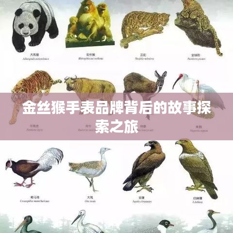 金絲猴手表品牌背后的故事探索之旅