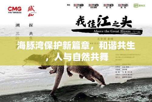 海豚灣保護新篇章，和諧共生，人與自然共舞