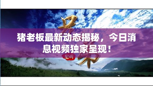 豬老板最新動態(tài)揭秘，今日消息視頻獨(dú)家呈現(xiàn)！