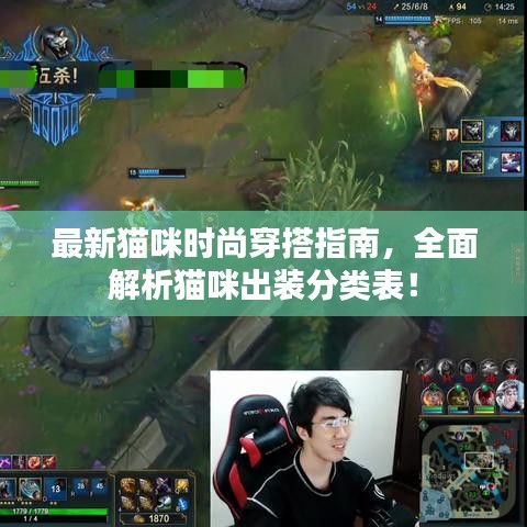 最新貓咪時尚穿搭指南，全面解析貓咪出裝分類表！