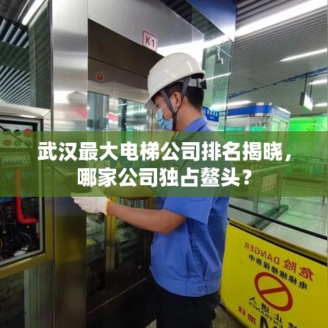 武漢最大電梯公司排名揭曉，哪家公司獨(dú)占鰲頭？