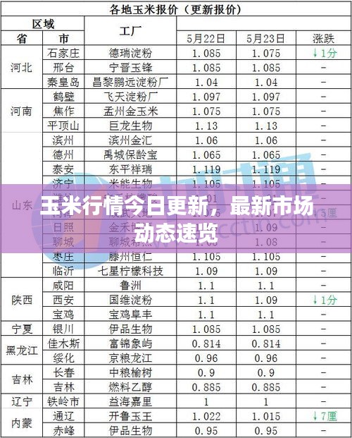 玉米行情今日更新，最新市場動(dòng)態(tài)速覽