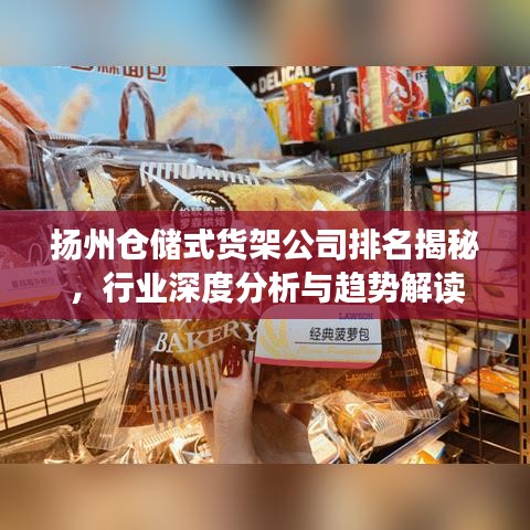 揚州倉儲式貨架公司排名揭秘，行業(yè)深度分析與趨勢解讀