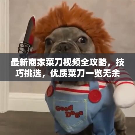最新商家菜刀視頻全攻略，技巧挑選，優(yōu)質(zhì)菜刀一覽無余！