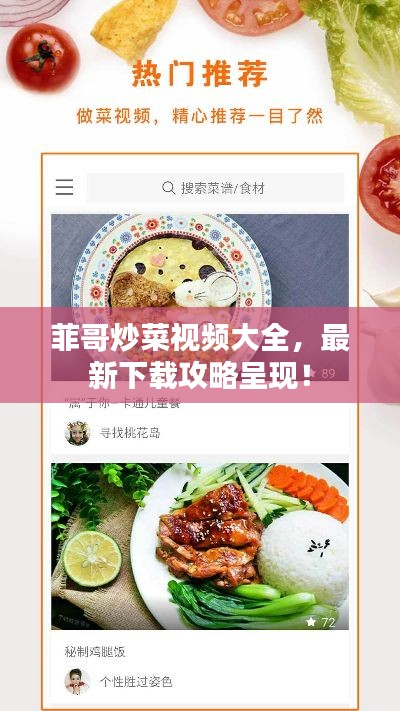 菲哥炒菜視頻大全，最新下載攻略呈現(xiàn)！