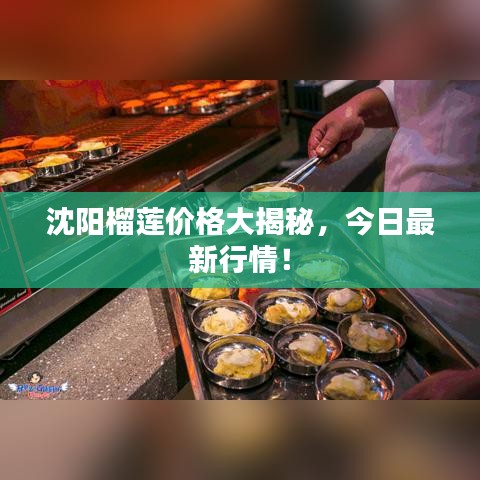 沈陽榴蓮價格大揭秘，今日最新行情！